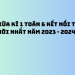 Đề Thi Giữa Kì 1 Toán 6: Hướng Dẫn Ôn Tập Hiệu Quả