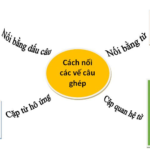 Từ nối câu trong đoạn văn tiếng Việt: Chìa khóa để viết văn mạch lạc và sáng tạo