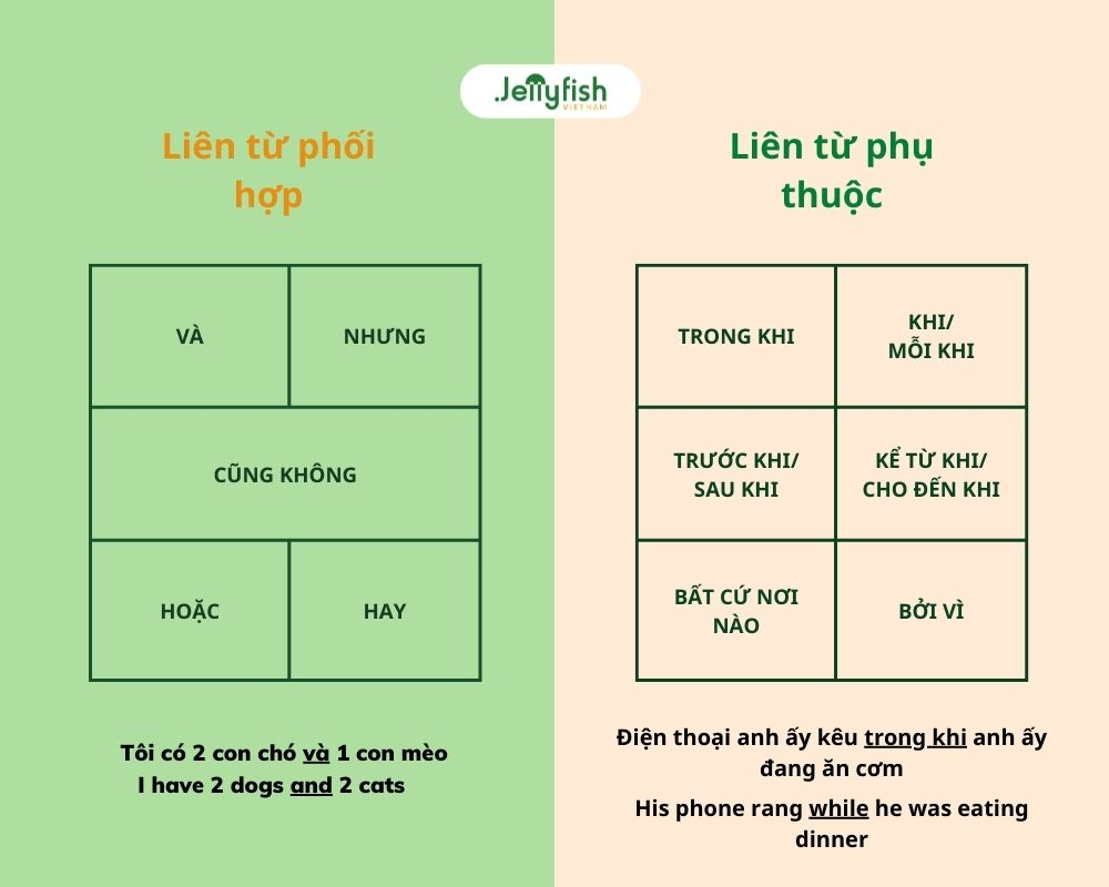 Từ nối câu trong đoạn văn tiếng Việt: Chìa khóa để viết văn mạch lạc và sáng tạo