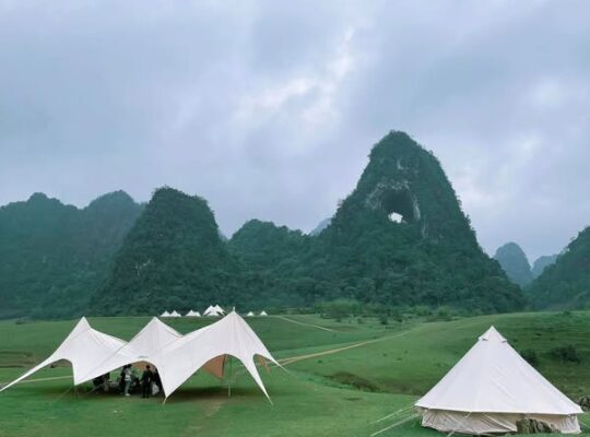 486156218 1106479378167328 7026871658363139401 N