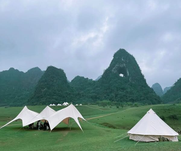 486156218 1106479378167328 7026871658363139401 N