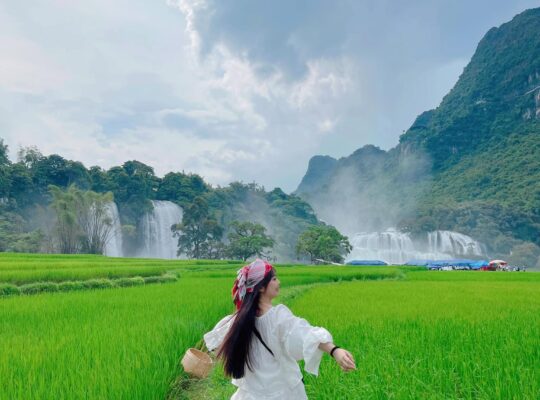 488216548 1117182470430352 3952931000128162847 N