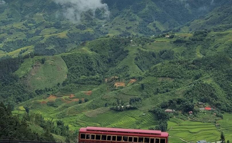 527116302 776397758077439 1014792035670583486 N