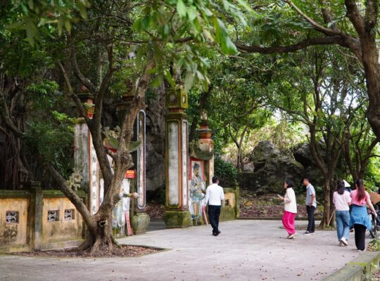 536268022 1318680906722248 7155435900261655144 N