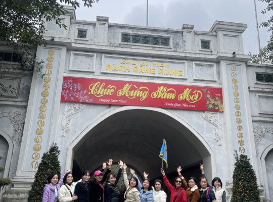 492003688 1365540752245750 6800648099584422486 N