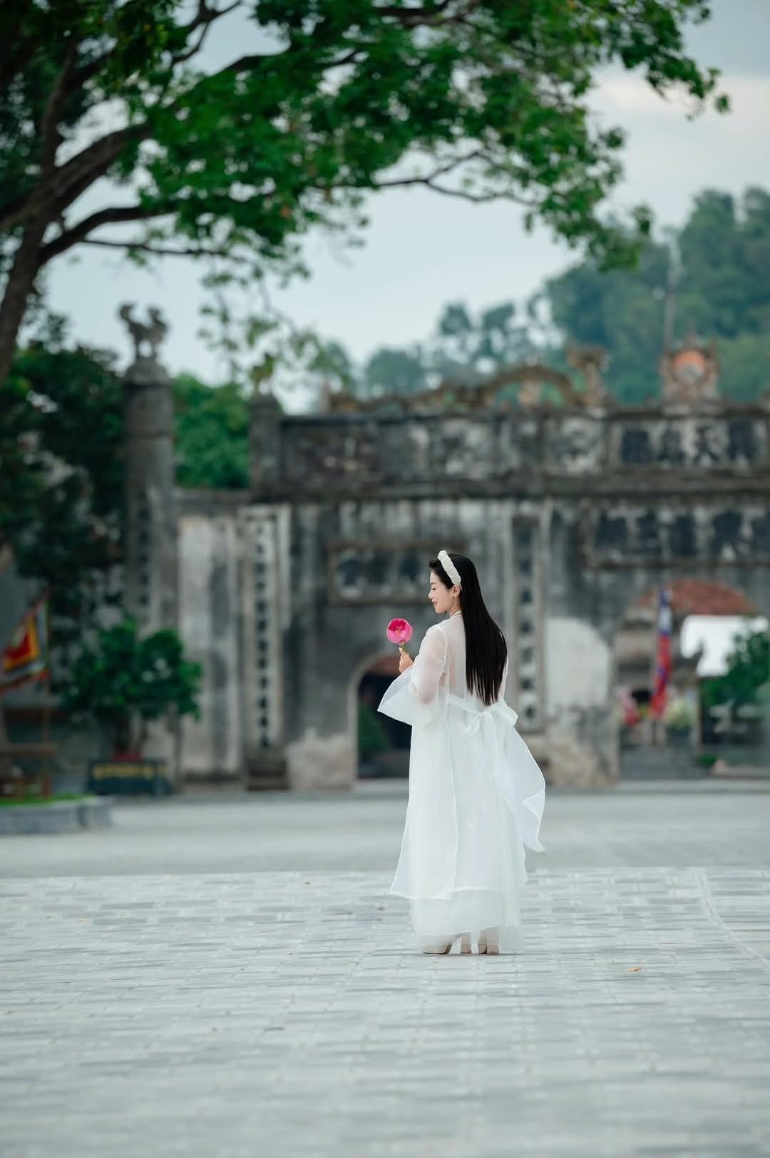 500117775 1083438790483911 2528545245950313220 N