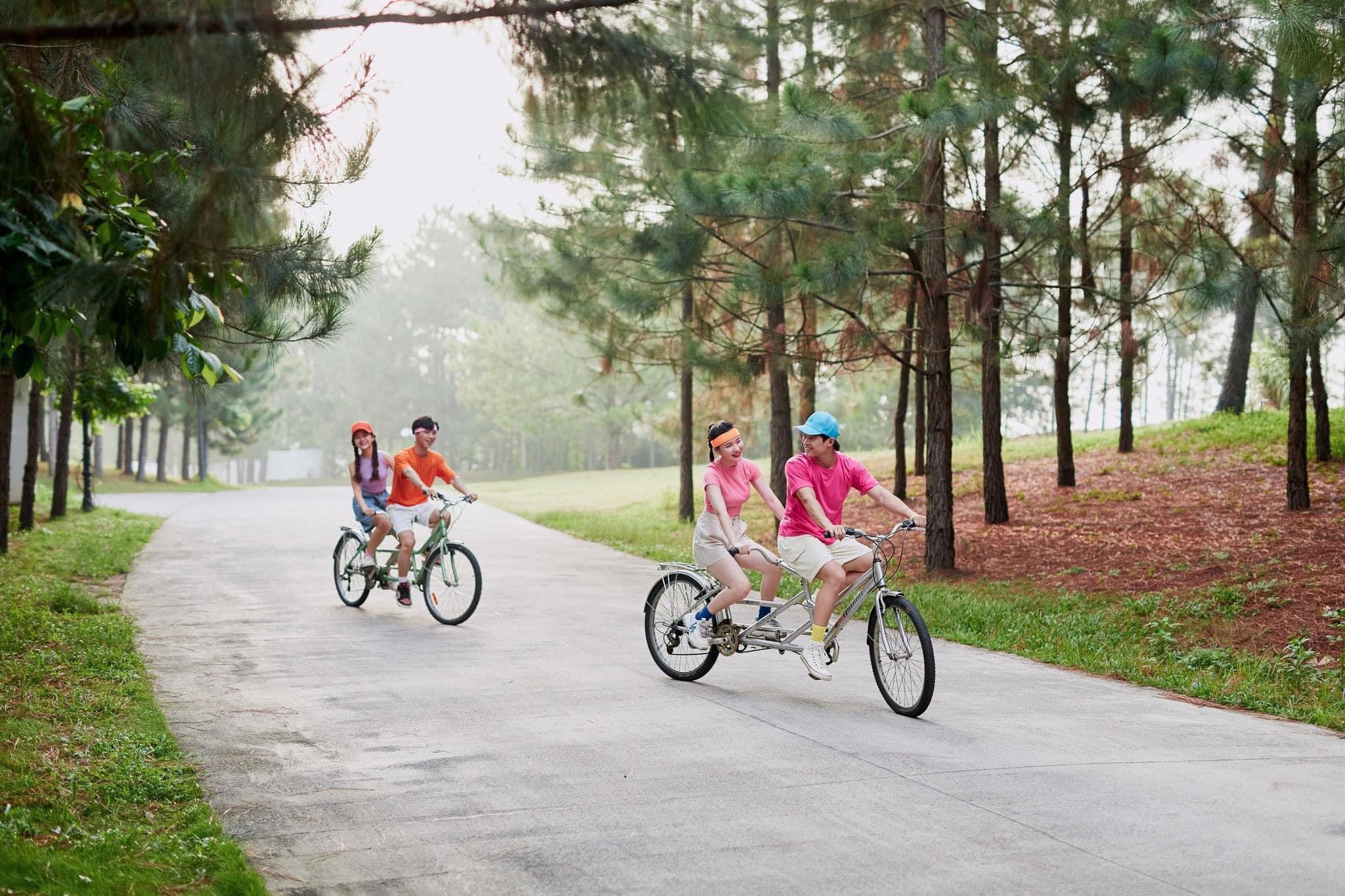 505153823 4212339702318957 7781720763076600765 N