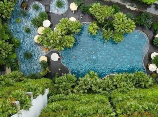 508463132 1410815166714542 6297260056903262395 N