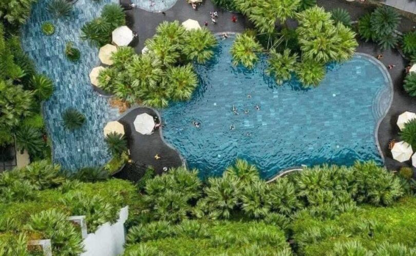 508463132 1410815166714542 6297260056903262395 N