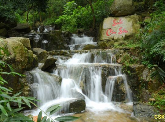 524127992 122159786642488071 6801590027774941569 N