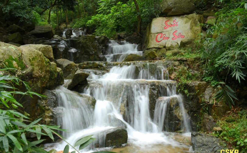 524127992 122159786642488071 6801590027774941569 N