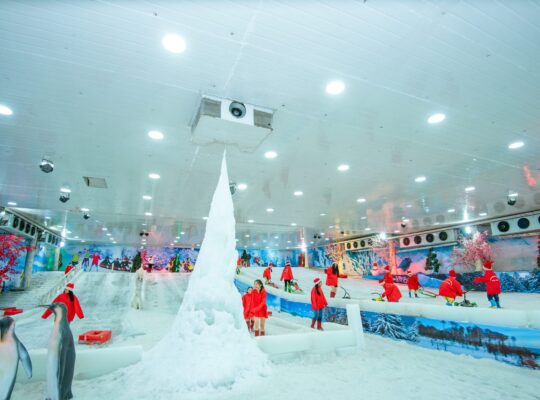 556385252 1240916714729770 2701270189436203576 N